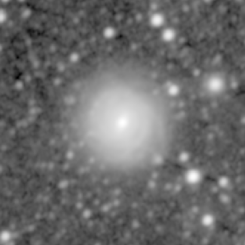Survey preview for NGC 521