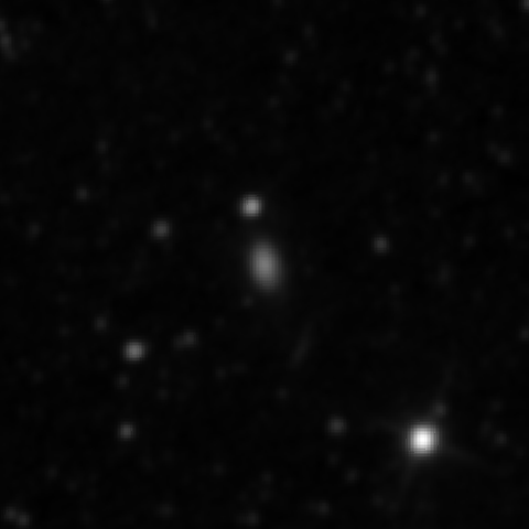 Survey preview for IC 2561