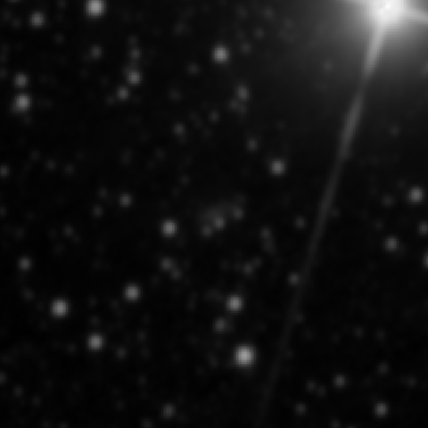 Survey preview for IC 2563