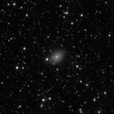 Survey preview for IC 2571