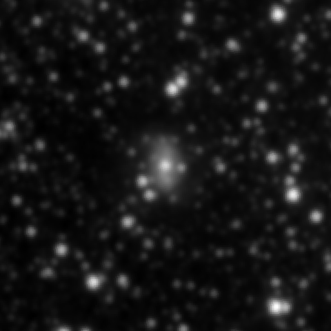 Survey preview for IC 2596