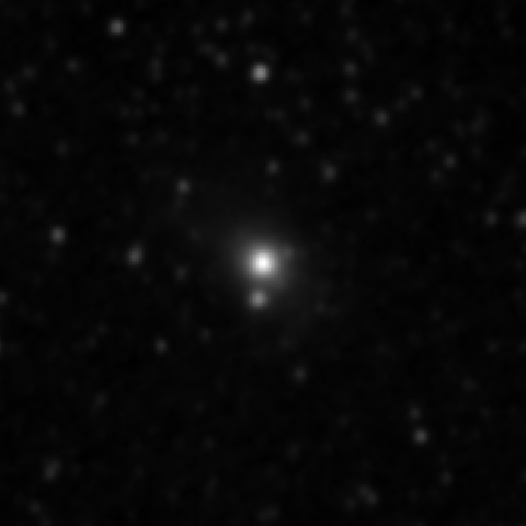 Survey preview for NGC 3731