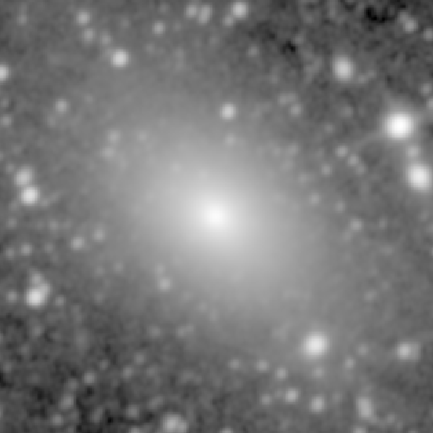 Survey preview for NGC 533