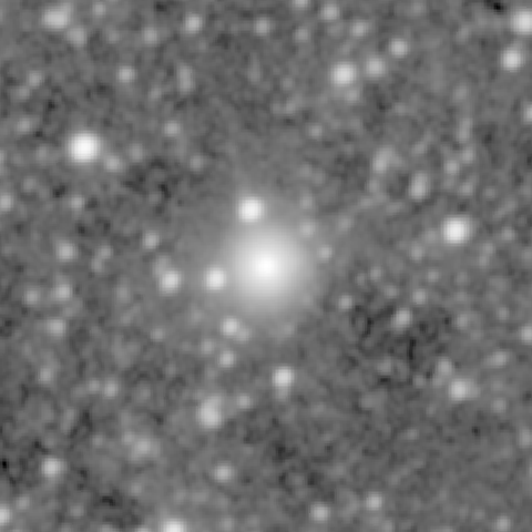 Survey preview for NGC 534