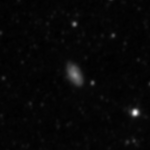 Survey preview for NGC 3833