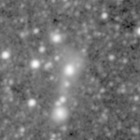 Survey preview for NGC 554