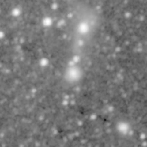 Survey preview for NGC 555
