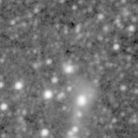 Survey preview for NGC 556