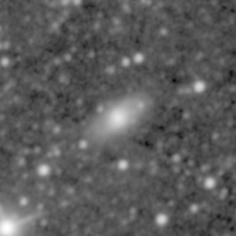 Survey preview for NGC 557