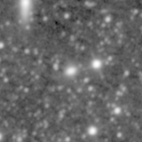 Survey preview for NGC 558