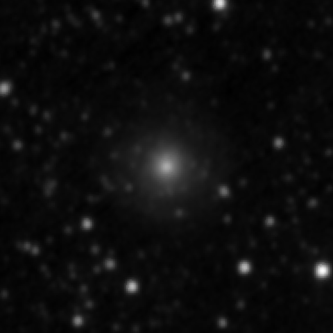 Survey preview for NGC 3913