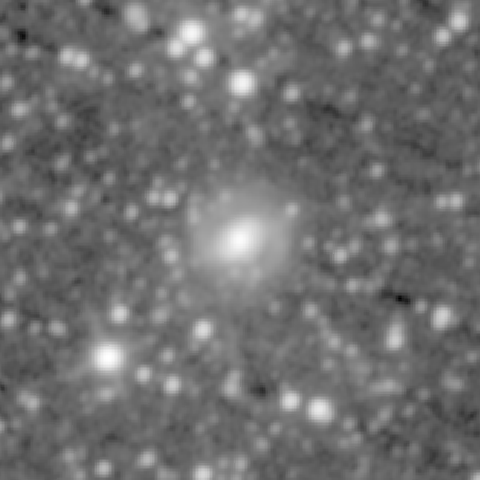 Survey preview for NGC 561