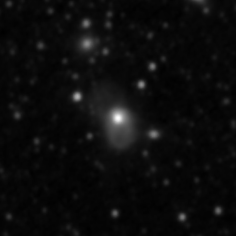 Survey preview for NGC 3921