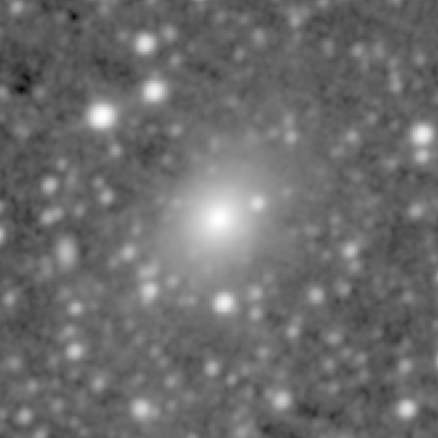 Survey preview for NGC 564