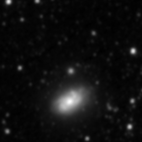 Survey preview for NGC 3950