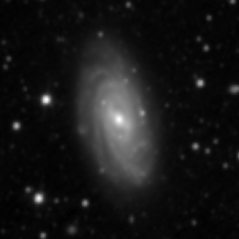 Survey preview for NGC 3953