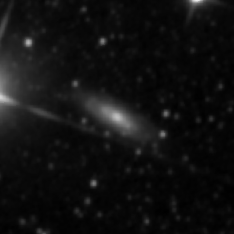 Survey preview for NGC 3956
