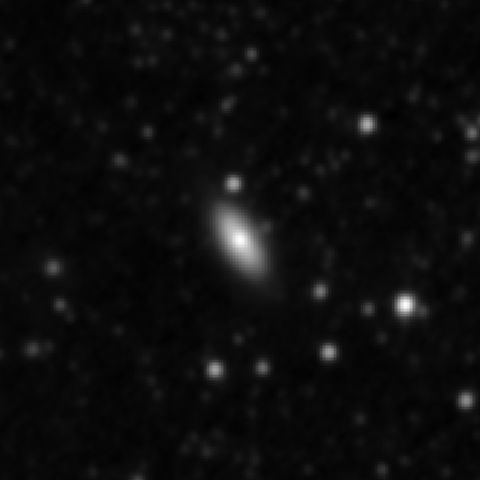 Survey preview for NGC 3958