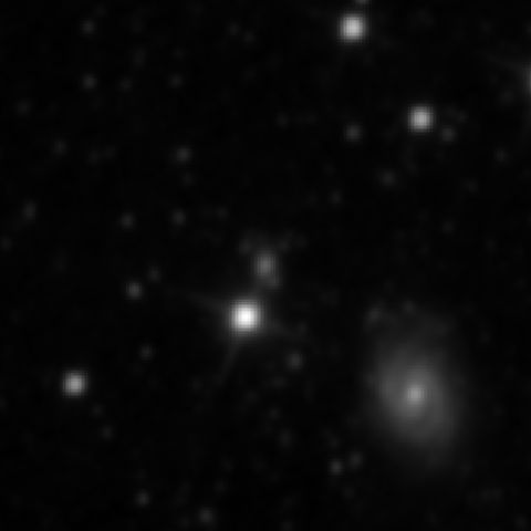 Survey preview for NGC 3973