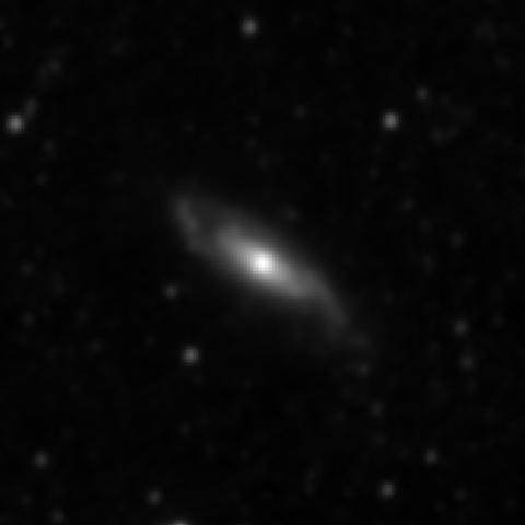 Survey preview for NGC 3976
