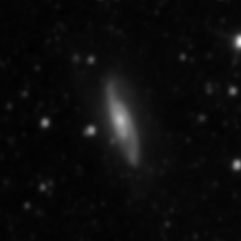 Survey preview for NGC 3981
