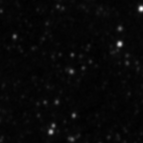 Survey preview for IC 2775
