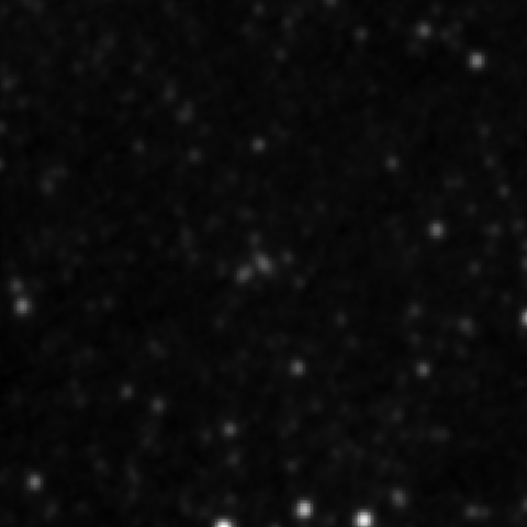 Survey preview for IC 2851