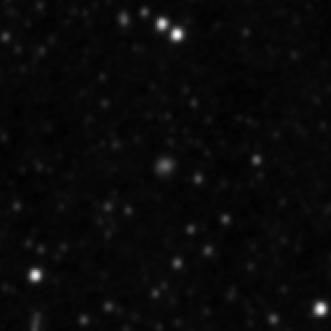 Survey preview for IC 2877