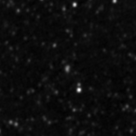 Survey preview for IC 2893