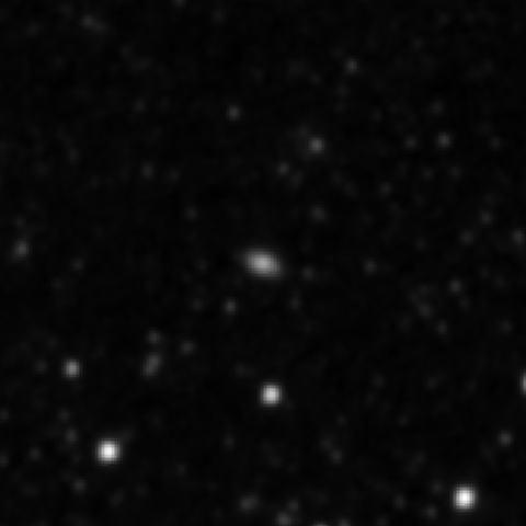 Survey preview for IC 2894