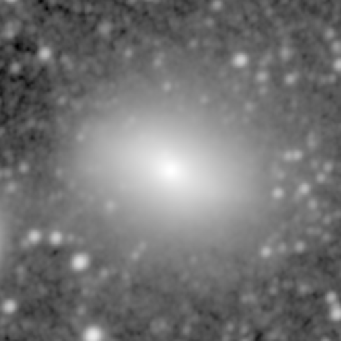 Survey preview for NGC 584