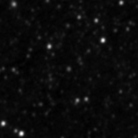 Survey preview for IC 2909