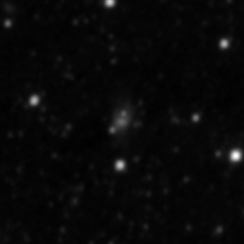Survey preview for NGC 4016