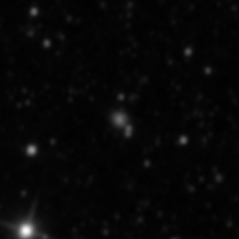 Survey preview for NGC 4031