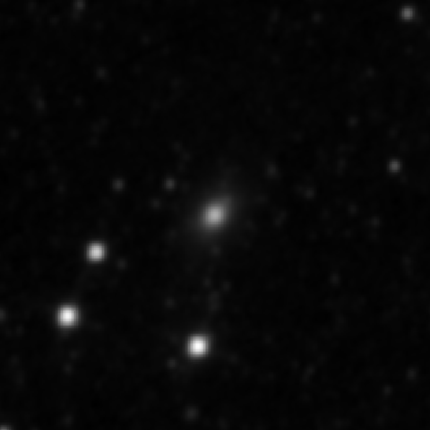 Survey preview for NGC 4040