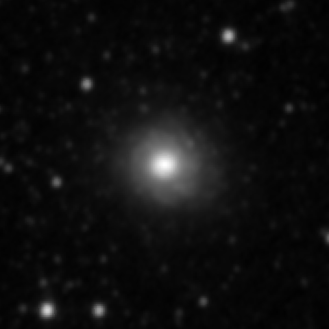 Survey preview for NGC 4041
