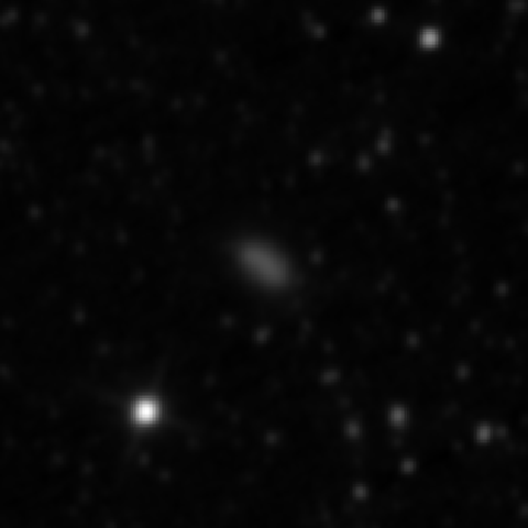 Survey preview for NGC 4049
