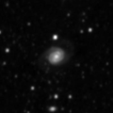 Survey preview for NGC 4079