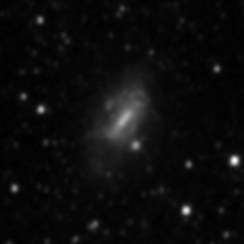 Survey preview for NGC 4116