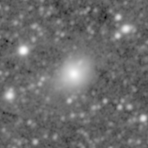 Survey preview for NGC 599