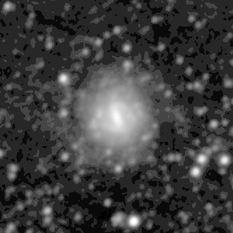 Survey preview for NGC 600