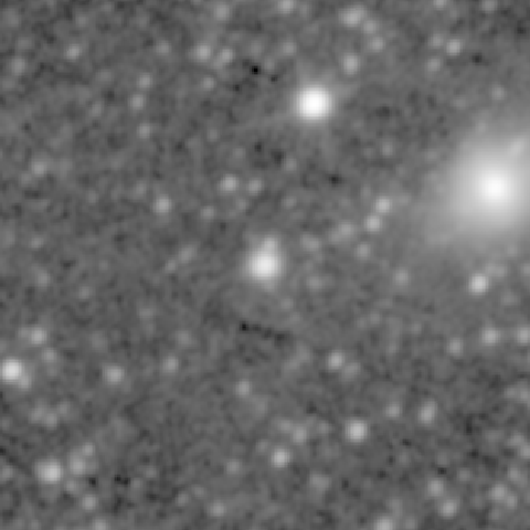 Survey preview for NGC 601