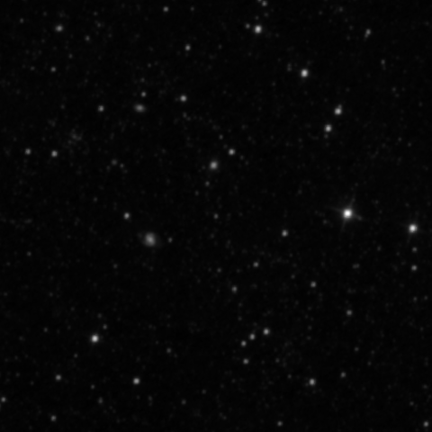 Survey preview for IC 2954