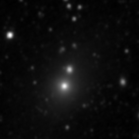 Survey preview for IC 2955