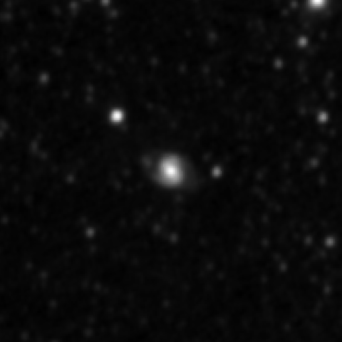 Survey preview for IC 2956