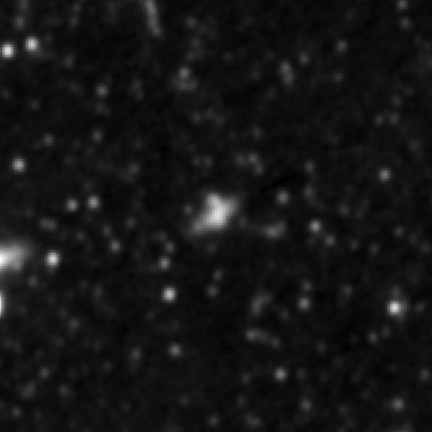 Survey preview for IC 2978