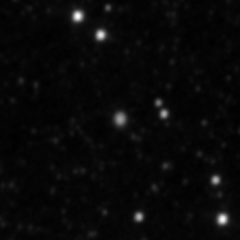 Survey preview for IC 2981