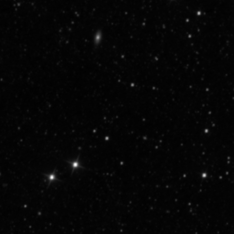 Survey preview for IC 2988