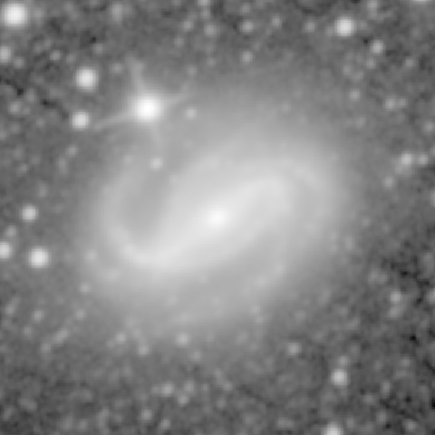 Survey preview for NGC 613