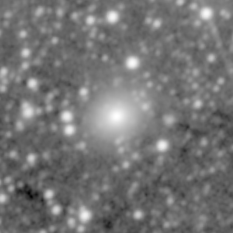 Survey preview for NGC 614